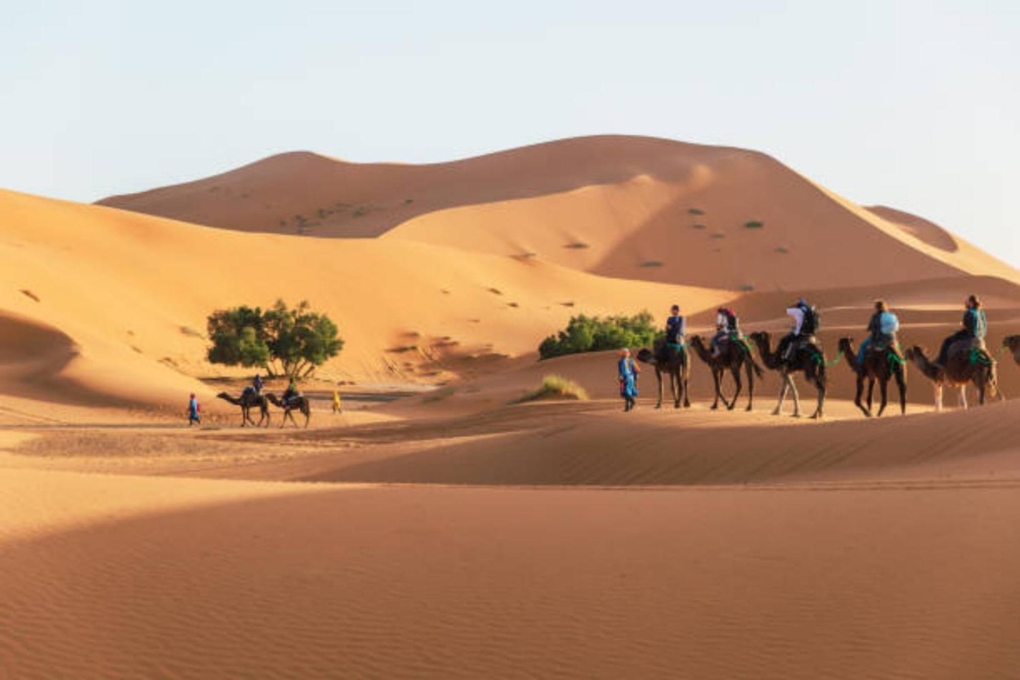 Desert Berber Fire Camp Merzouga Exterior foto
